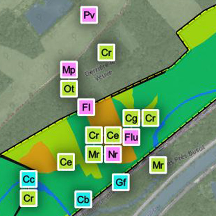 Diagnostic écologique du Resson